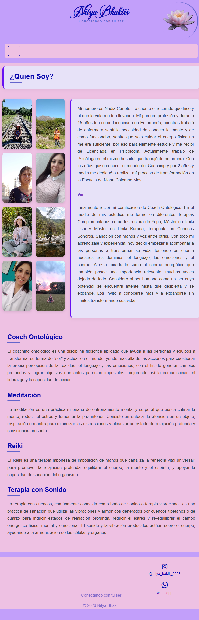 Captura del Proyecto Nithya Baktii